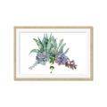 Picture of Succulent Group _GroupedProduct_Rectangle_Landscape_Framed_Matted_