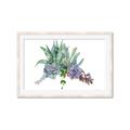 Picture of Succulent Group _GroupedProduct_Rectangle_Landscape_Framed_Matted_