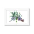 Picture of Succulent Group _GroupedProduct_Rectangle_Landscape_Framed_Matted_