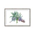 Picture of Succulent Group _GroupedProduct_Rectangle_Landscape_Framed_Matted_