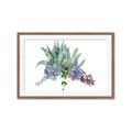 Picture of Succulent Group _GroupedProduct_Rectangle_Landscape_Framed_Matted_