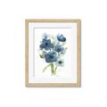 Picture of Blue Poppies I  _GroupedProduct_Rectangle_Portrait_Framed_Matted_
