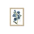 Picture of Blue Poppies II _GroupedProduct_Rectangle_Portrait_Framed_Matted_