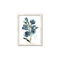 Picture of Blue Poppies II _GroupedProduct_Rectangle_Portrait_Framed_Matted_