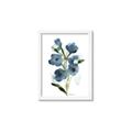 Picture of Blue Poppies II _GroupedProduct_Rectangle_Portrait_Framed_Matted_