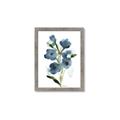 Picture of Blue Poppies II _GroupedProduct_Rectangle_Portrait_Framed_Matted_