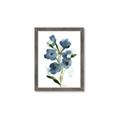 Picture of Blue Poppies II _GroupedProduct_Rectangle_Portrait_Framed_Matted_