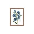 Picture of Blue Poppies II _GroupedProduct_Rectangle_Portrait_Framed_Matted_