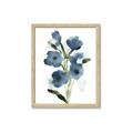 Picture of Blue Poppies II _GroupedProduct_Rectangle_Portrait_Framed_Matted_