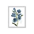 Picture of Blue Poppies II _GroupedProduct_Rectangle_Portrait_Framed_Matted_