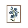Picture of Blue Poppies II _GroupedProduct_Rectangle_Portrait_Framed_Matted_