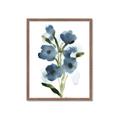 Picture of Blue Poppies II _GroupedProduct_Rectangle_Portrait_Framed_Matted_