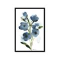 Picture of Blue Poppies II _GroupedProduct_Rectangle_Portrait_Framed_Matted_