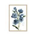 Picture of Blue Poppies II _GroupedProduct_Rectangle_Portrait_Framed_Matted_