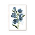 Picture of Blue Poppies II _GroupedProduct_Rectangle_Portrait_Framed_Matted_