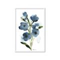 Picture of Blue Poppies II _GroupedProduct_Rectangle_Portrait_Framed_Matted_