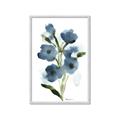 Picture of Blue Poppies II _GroupedProduct_Rectangle_Portrait_Framed_Matted_