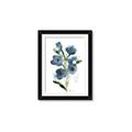 Picture of Blue Poppies II _GroupedProduct_Rectangle_Portrait_Framed_Matted_
