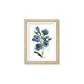 Picture of Blue Poppies II _GroupedProduct_Rectangle_Portrait_Framed_Matted_