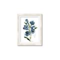 Picture of Blue Poppies II _GroupedProduct_Rectangle_Portrait_Framed_Matted_