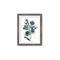 Picture of Blue Poppies II _GroupedProduct_Rectangle_Portrait_Framed_Matted_