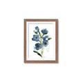 Picture of Blue Poppies II _GroupedProduct_Rectangle_Portrait_Framed_Matted_