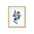 Picture of Blue Poppies II _GroupedProduct_Rectangle_Portrait_Framed_Matted_