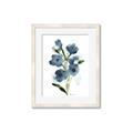 Picture of Blue Poppies II _GroupedProduct_Rectangle_Portrait_Framed_Matted_