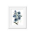 Picture of Blue Poppies II _GroupedProduct_Rectangle_Portrait_Framed_Matted_