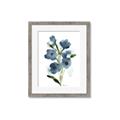 Picture of Blue Poppies II _GroupedProduct_Rectangle_Portrait_Framed_Matted_