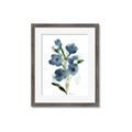 Picture of Blue Poppies II _GroupedProduct_Rectangle_Portrait_Framed_Matted_