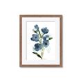 Picture of Blue Poppies II _GroupedProduct_Rectangle_Portrait_Framed_Matted_