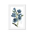 Picture of Blue Poppies II _GroupedProduct_Rectangle_Portrait_Framed_Matted_