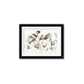 Picture of Swift Ginko I  _GroupedProduct_Rectangle_Landscape_Framed_Matted_