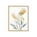 Picture of Soft Tulips  I _GroupedProduct_Rectangle_Portrait_Framed_Matted_