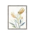 Picture of Soft Tulips  I _GroupedProduct_Rectangle_Portrait_Framed_Matted_