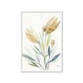 Picture of Soft Tulips  I _GroupedProduct_Rectangle_Portrait_Framed_Matted_