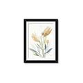 Picture of Soft Tulips  I _GroupedProduct_Rectangle_Portrait_Framed_Matted_