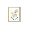 Picture of Soft Tulips  I _GroupedProduct_Rectangle_Portrait_Framed_Matted_
