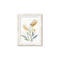 Picture of Soft Tulips  I _GroupedProduct_Rectangle_Portrait_Framed_Matted_