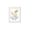 Picture of Soft Tulips  I _GroupedProduct_Rectangle_Portrait_Framed_Matted_