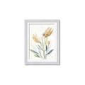 Picture of Soft Tulips  I _GroupedProduct_Rectangle_Portrait_Framed_Matted_