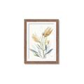 Picture of Soft Tulips  I _GroupedProduct_Rectangle_Portrait_Framed_Matted_