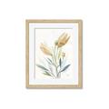 Picture of Soft Tulips  I _GroupedProduct_Rectangle_Portrait_Framed_Matted_