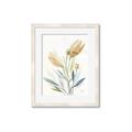 Picture of Soft Tulips  I _GroupedProduct_Rectangle_Portrait_Framed_Matted_