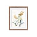 Picture of Soft Tulips  I _GroupedProduct_Rectangle_Portrait_Framed_Matted_