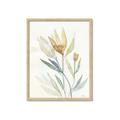 Picture of Soft Tulips II _GroupedProduct_Rectangle_Portrait_Framed_Matted_