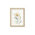 Picture of Soft Tulips II _GroupedProduct_Rectangle_Portrait_Framed_Matted_