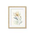 Picture of Soft Tulips II _GroupedProduct_Rectangle_Portrait_Framed_Matted_
