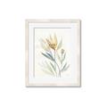 Picture of Soft Tulips II _GroupedProduct_Rectangle_Portrait_Framed_Matted_